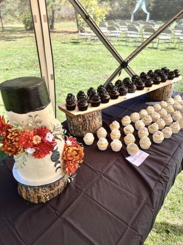 Wedding Cake and Cupcakes