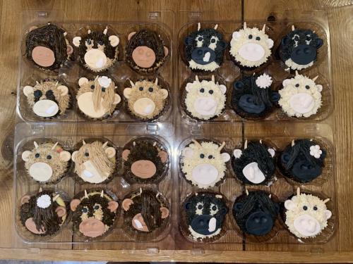 Cow Cupcakes